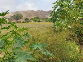  Terreno (Parcela) en venta en Chancay, Huaral, Chancay