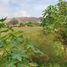  Land for sale in Chancay, Lima, Chancay