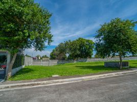  Terreno (Parcela) en venta en Las Pinas City, Metro Manila, Las Pinas City, Southern District, Metro Manila
