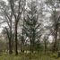  Land for sale in Pachuca De Soto, Hidalgo, Pachuca De Soto, Hidalgo