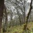  Land for sale in Pachuca De Soto, Hidalgo, Pachuca De Soto, Hidalgo