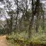  Land for sale in Pachuca De Soto, Hidalgo, Pachuca De Soto, Hidalgo