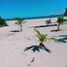  Land for sale in Bantayan, Central Visayas, Bantayan