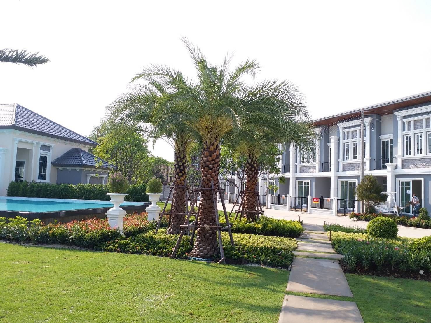 3 Bedroom Townhouse For Rent In San Phisuea, Chiang Mai