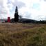  Land for sale in Tarimbaro, Michoacan, Tarimbaro