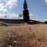  Land for sale in Tarimbaro, Michoacan, Tarimbaro