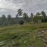  Grundstück zu verkaufen in Sibonga, Central Visayas, Sibonga