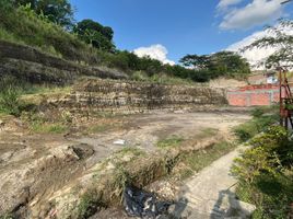  Terrain for sale in Valle Del Cauca, Cartago, Valle Del Cauca