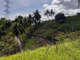  Grundstück zu verkaufen in Cebu City, Central Visayas, Cebu City, Cebu, Central Visayas, Philippinen
