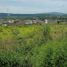  Land for rent in Morelia, Michoacan, Morelia