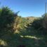  토지을(를) Ancud, 칠로에서 판매합니다., Ancud