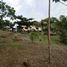  Land for sale in Borbon, Cebu, Borbon