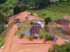  Grundstück zu verkaufen in Guarne, Antioquia, Guarne, Antioquia