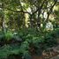 在Cuernavaca, Morelos出售的2 卧室 屋, Cuernavaca