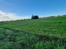  Land for sale in Pampanga, Central Luzon, Magalang, Pampanga