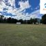  Land for sale in Chile, Pucon, Cautin, Araucania, Chile