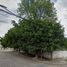  Land for rent in Leon, Guanajuato, Leon, Guanajuato