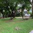  Terreno (Parcela) en venta en Quezon City, Metro Manila, Quezon City, Eastern District, Metro Manila