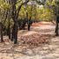  Land for sale in Zapopan, Jalisco, Zapopan, Jalisco
