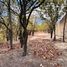  Land for sale in Zapopan, Jalisco, Zapopan, Jalisco