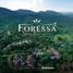  Land for sale in Balamban, Central Visayas, Balamban