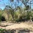  Land for sale in Dist Pochutla, Oaxaca, Dist Pochutla