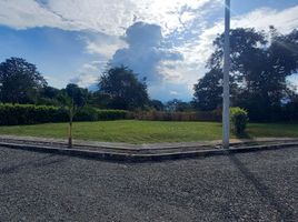  Terreno (Parcela) en venta en San Pedro, Valle Del Cauca, San Pedro