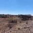  Land for sale in Panuco, Zacatecas, Panuco