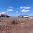  Grundstück zu verkaufen in Panuco, Zacatecas, Panuco