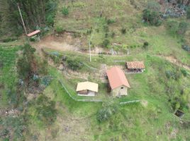  Terreno (Parcela) en venta en Sigsig, Azuay, San Bartolome, Sigsig