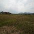  Land for sale in Bandung, West Jawa, Padalarang, Bandung