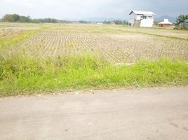  Land for sale in Bandung, West Jawa, Padalarang, Bandung