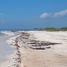  Grundstück zu verkaufen in Felipe Carrillo Puerto, Quintana Roo, Felipe Carrillo Puerto