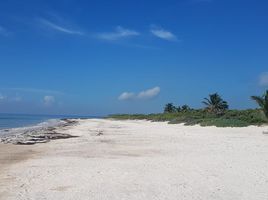  Grundstück zu verkaufen in Felipe Carrillo Puerto, Quintana Roo, Felipe Carrillo Puerto