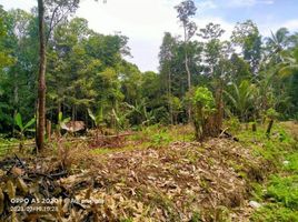  Land for sale in Ciomas, Serang, Ciomas