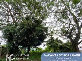  Land for rent in Alfonso, Cavite, Alfonso