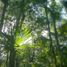  Terreno (Parcela) en venta en Cozumel, Quintana Roo, Cozumel, Quintana Roo