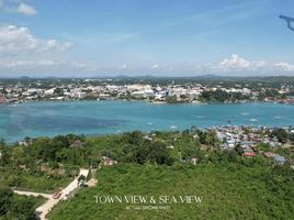 1 Bedroom Condo for sale in Bohol, Central Visayas, Dauis, Bohol