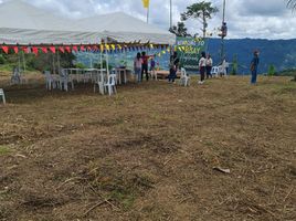  Land for sale in Cebu City, Central Visayas, Cebu City, Cebu