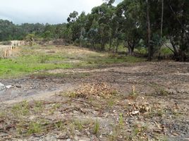  Terreno (Parcela) en venta en Sutamarchan, Boyaca, Sutamarchan