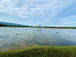  Land for sale in Moalboal, Cebu, Moalboal