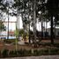  Terreno (Parcela) en venta en Ocoyucan, Puebla, Ocoyucan