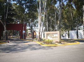  Terreno (Parcela) en venta en Ocoyucan, Puebla, Ocoyucan