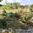 Grundstück zu verkaufen in Binan City, Calabarzon, Binan City