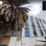 3 Schlafzimmer Appartement zu verkaufen in Cuauhtemoc, Mexico City, Cuauhtemoc