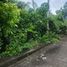  Grundstück zu verkaufen in Consolacion, Central Visayas, Consolacion