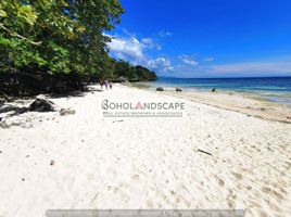  Land for sale in Dauis, Bohol, Dauis