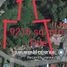  Land for sale in Baguio City, Cordillera, Baguio City, Benguet