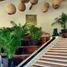2 Schlafzimmer Appartement zu vermieten in Cozumel, Quintana Roo, Cozumel