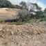  Terreno (Parcela) en venta en Jocotepec, Jalisco, Jocotepec
